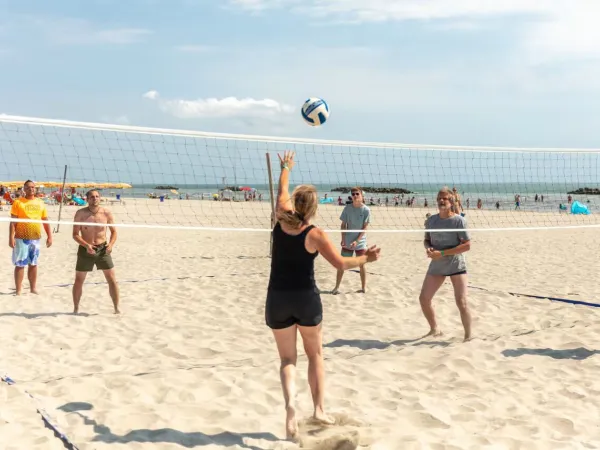 Mensen spelen beachvolleybal op Roan camping Spiaggia e Mare.