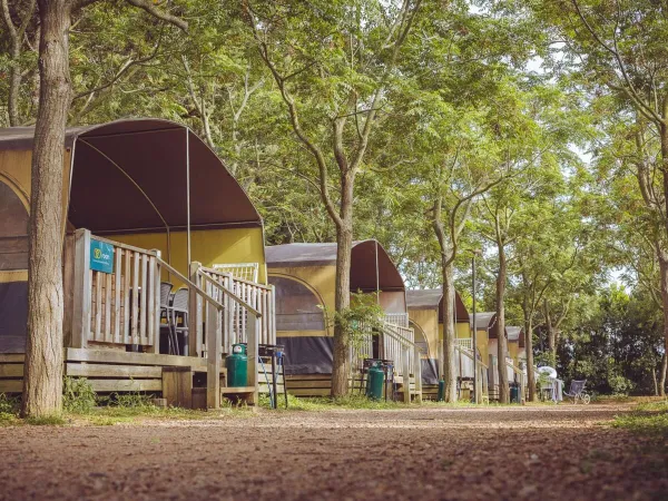 Lodgetent holiday op Roan Camping Le Capanne.