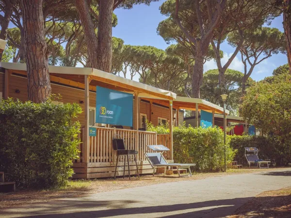 Straatje met Premium Lounge 2 slaapkamer stacaravans op Roan camping hu Park Albatros village.