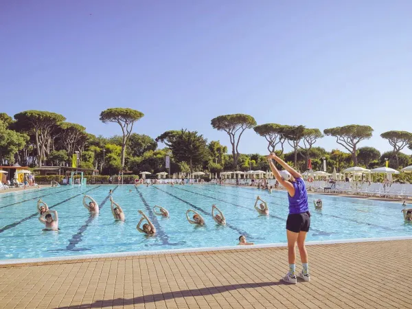 Animatie in het zwembad op Roan camping hu Park Albatros village.