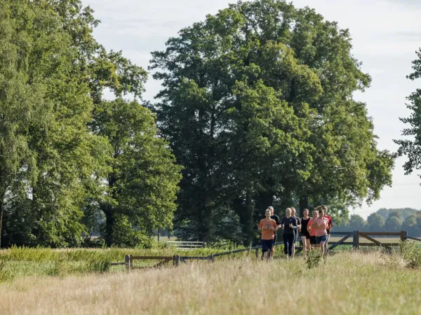 Mensen die sportief bezig zijn in de buitenlucht op Roan camping De Twee Bruggen.