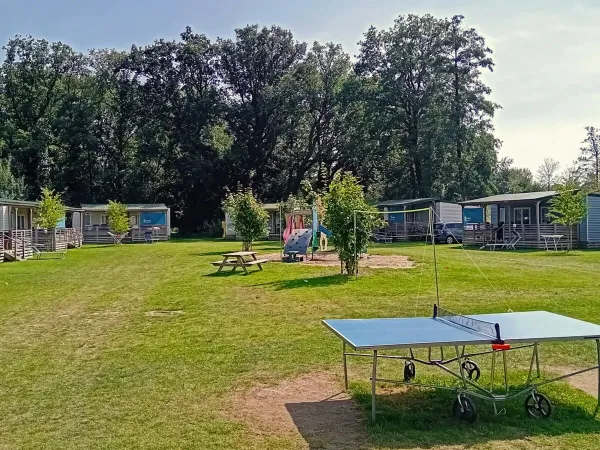 Roan veldje met speeltuin en pingpongtafel op Roan camping De Twee Bruggen.