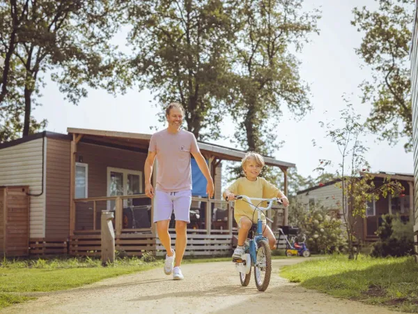 Gratis Roan kinderfietsjes voor kinderen t/m 6 jaar.