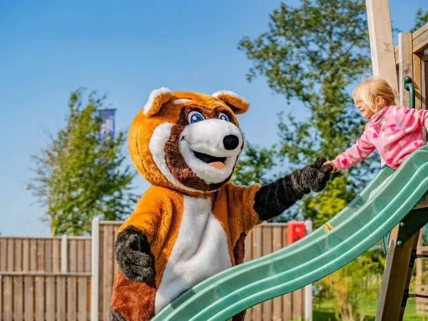Mascotte Homy op Roan camping Marvilla Parks Friese Meren.