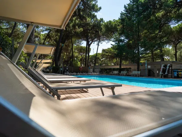 Luxe ligbedden bij het zwembad met zon en schaduw op Roan camping Sole Family Camping Village.