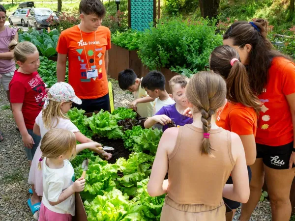 Kinderen en animatieteam in de moestuin op Roan camping hu Norcenni Girasole village.