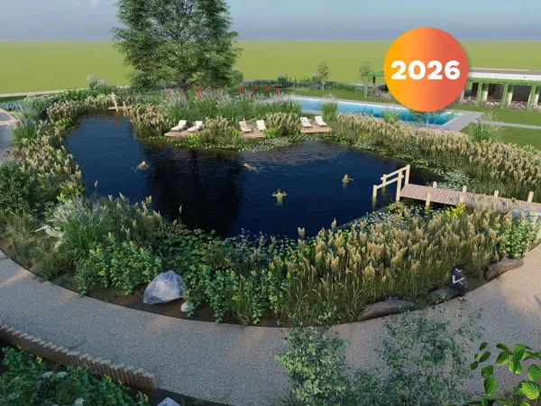 Een natuurvijver om in te zwemmen op Roan camping De Twee Bruggen.
