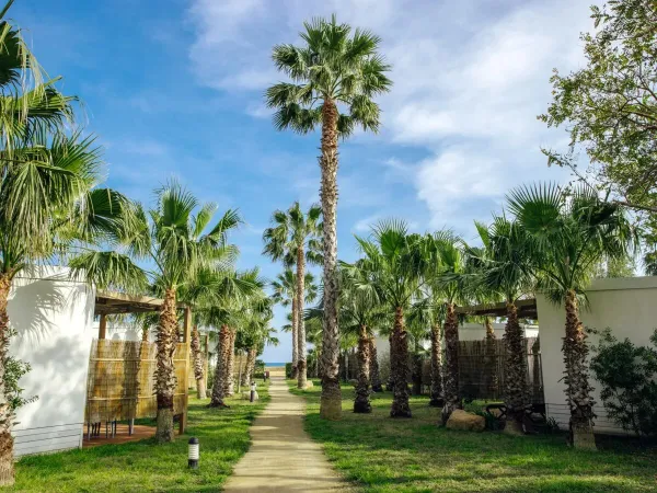 Een accommodatiestraatje op Roan camping Alannia Els Prats.