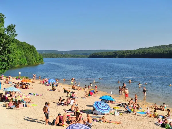 Families zonnen op het strand van het meer op Roan camping Le Lac des Vieilles Forges.