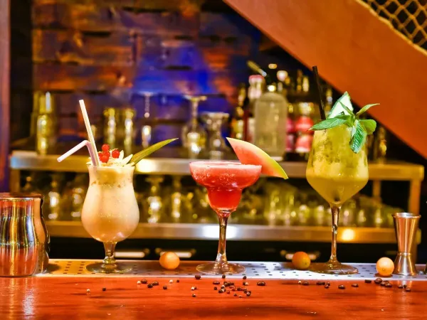 Lekkere cocktails op Roan camping Les Sables d'Or.