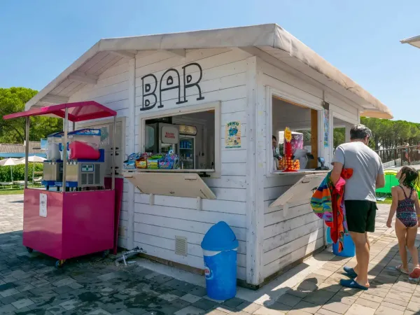 Zwembadbar met ijsjes en drinken op Roan camping Marina Julia Camping Village.