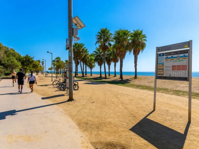 Het strand bij Roan camping Caballo de Mar.