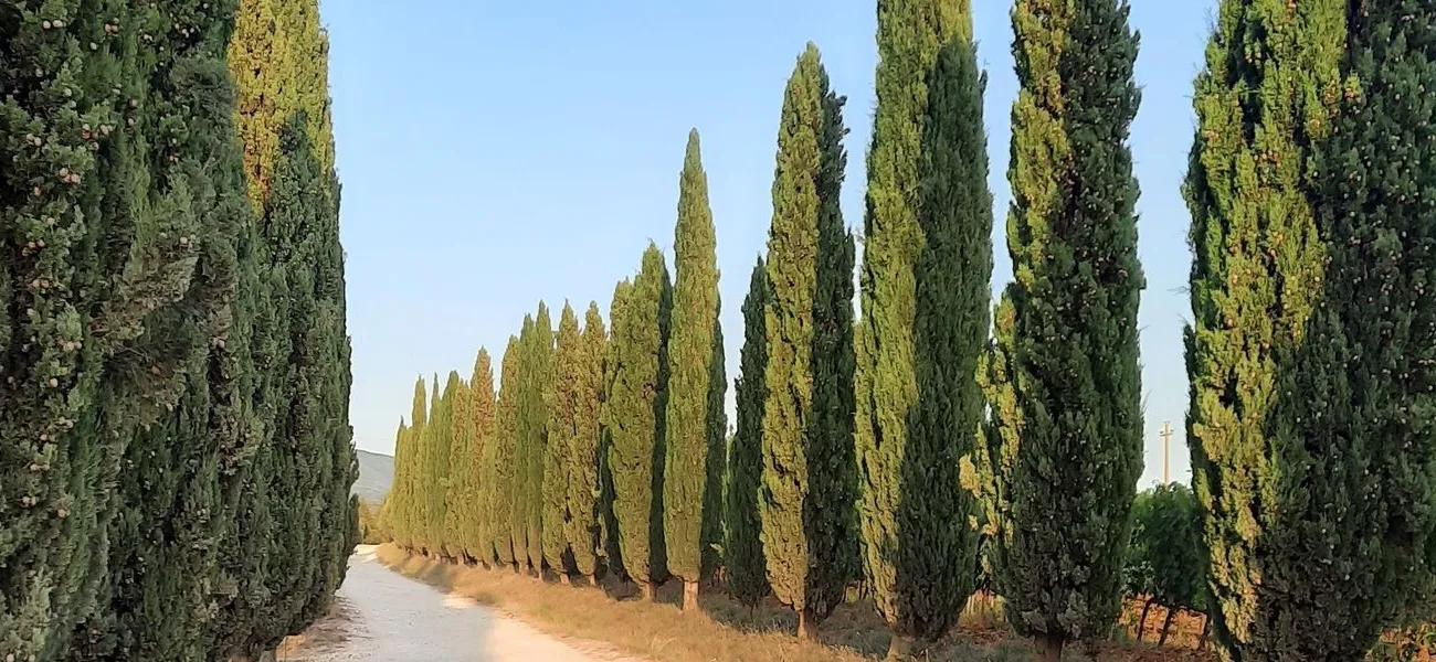 Het échte Italië op familiecamping Le Capanne