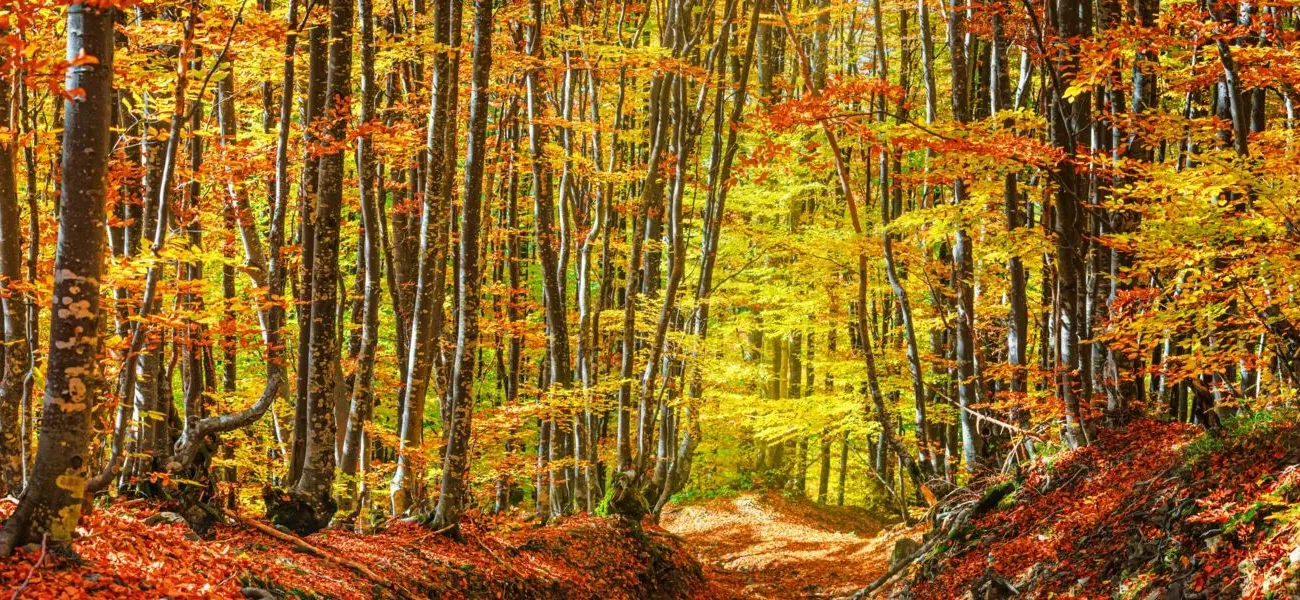 Kamperen in het laagseizoen