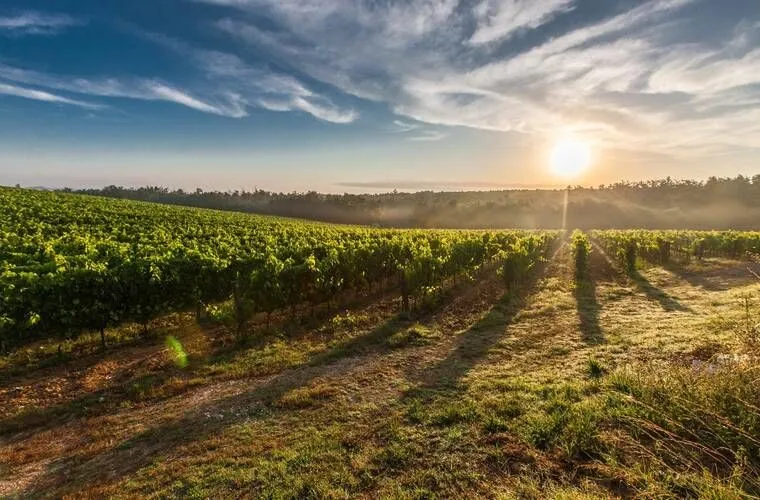 Vakantie vier je in het mooie Toscane