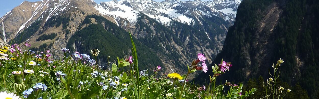 Camping Oostenrijk