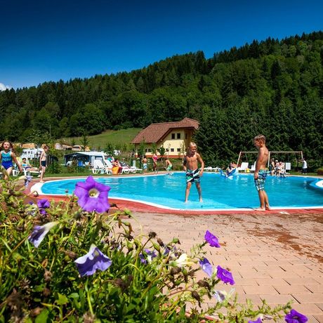 Onze campings in Steiermark