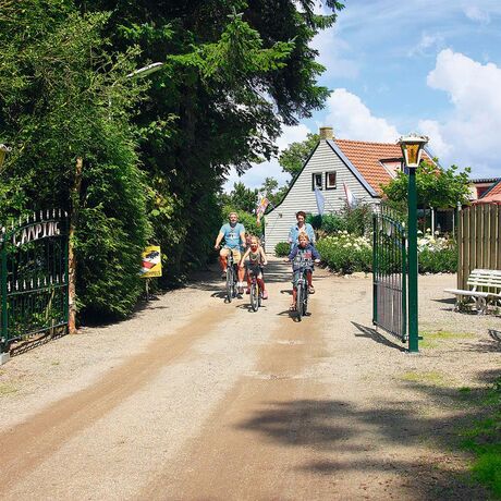 Onze campings in Friesland